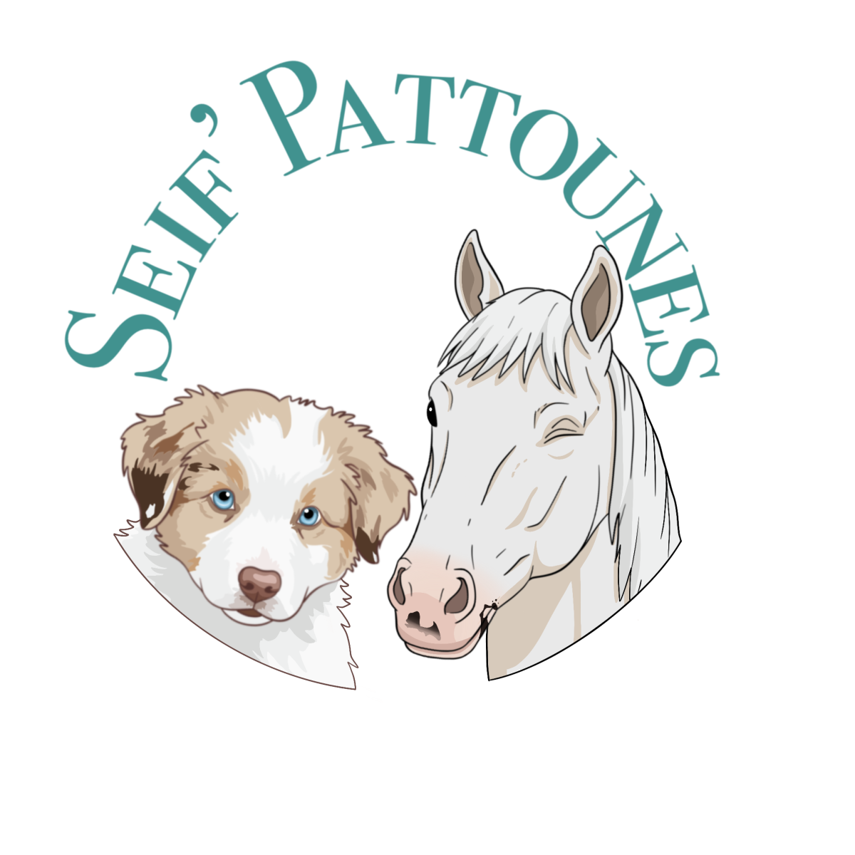 Seif'Pattounes